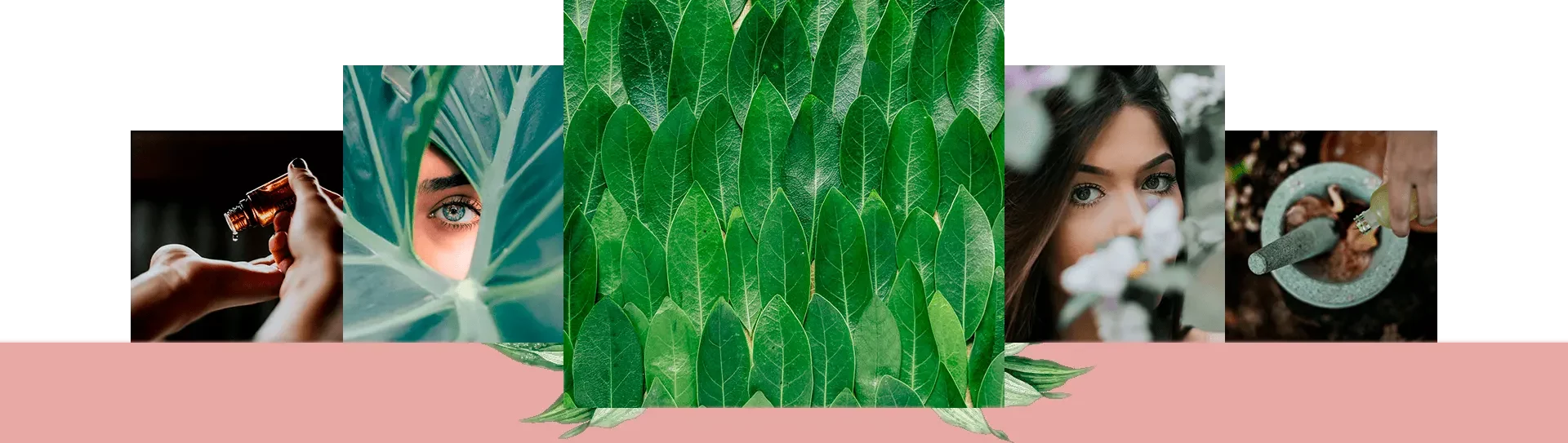 Harmonização facial e corporal, estética, fisioterapia, micropigmentação